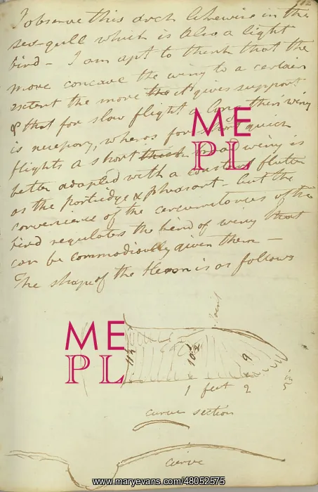: Diagrams of a heron's wing : Diagrams of a heron's wing