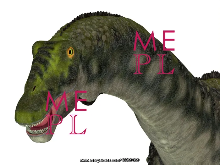 : Diamantinasaurus dinosaur head : Diamantinasaurus dinosaur head