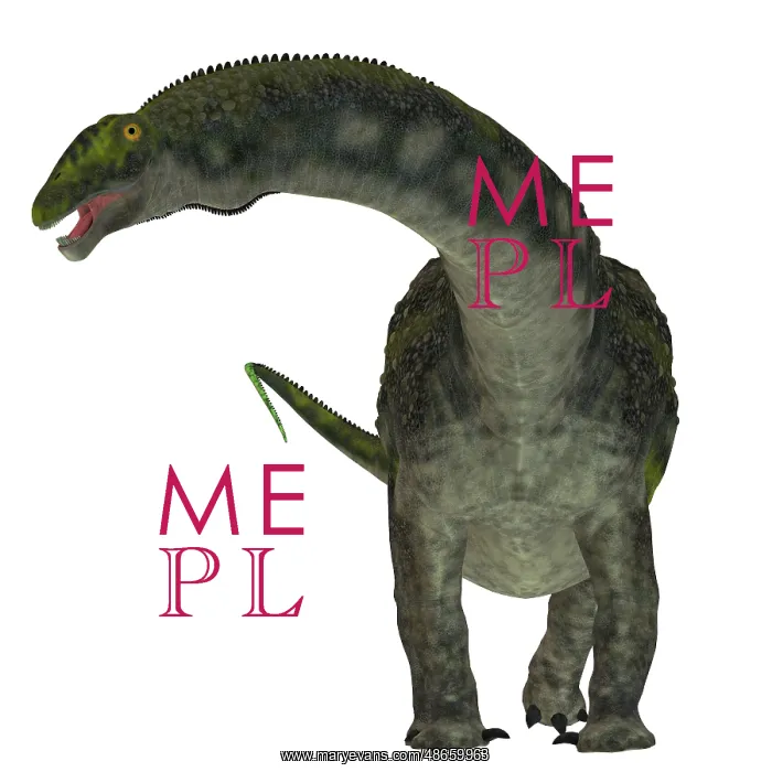 : Diamantinasaurus dinosaur, front view : Diamantinasaurus dinosaur, front view