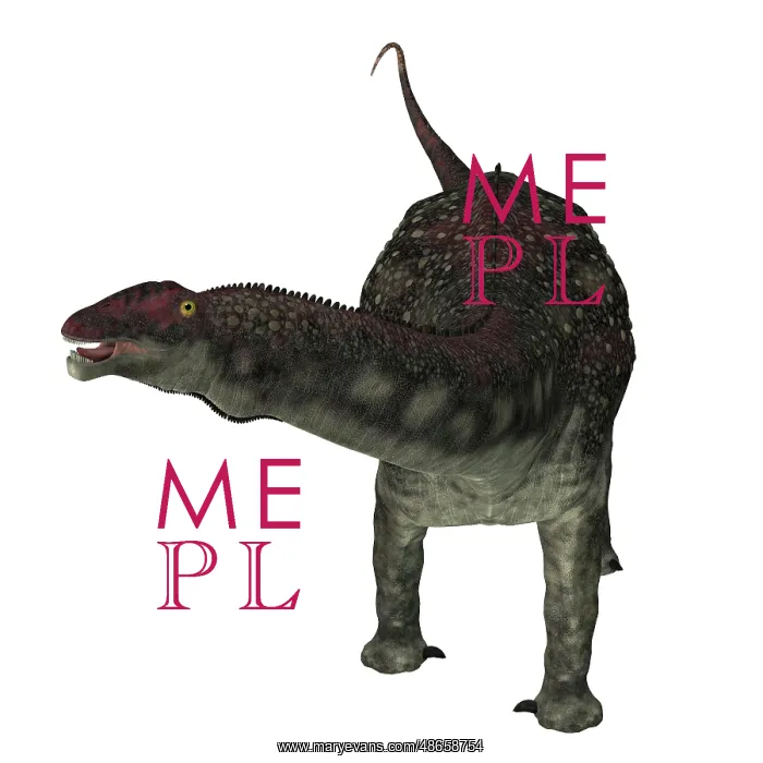 : Diamantinasaurus dinosaur, front view on white background : Diamantinasaurus dinosaur, front view on white background