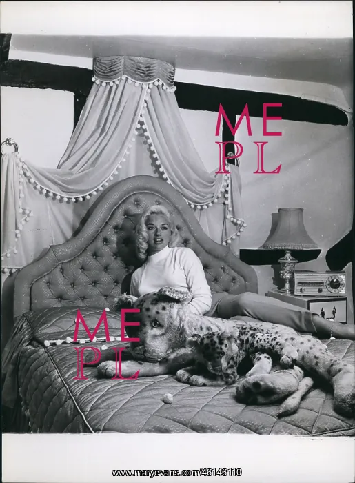 : Diana Dors in her luxurious bedroom : Diana Dors in her luxurious bedroom