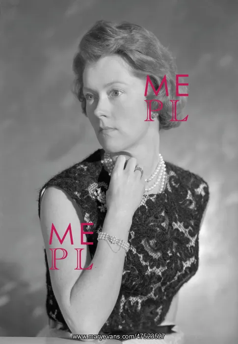 : Diana Kellett, Baroness Holderness : Diana Kellett, Baroness Holderness