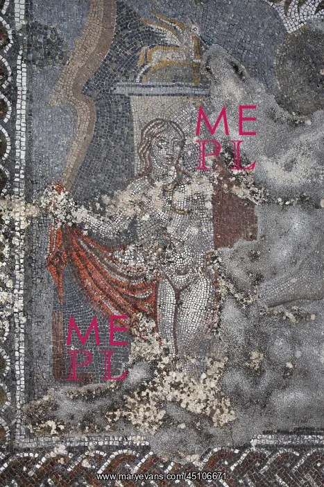 : Diana mosaic, House of the Procession of Venus : Diana mosaic, House of the Procession of Venus