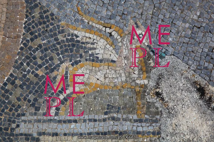 : Diana mosaic, House of the Procession of Venus : Diana mosaic, House of the Procession of Venus
