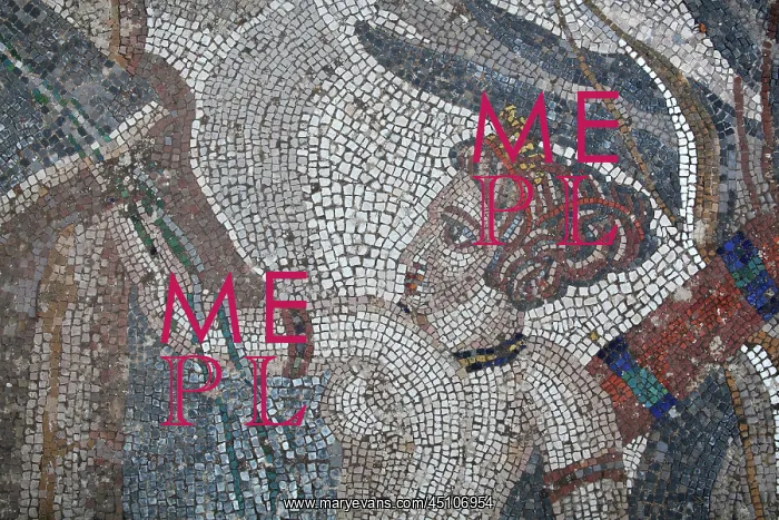 : Diana mosaic, House of the Procession of Venus : Diana mosaic, House of the Procession of Venus