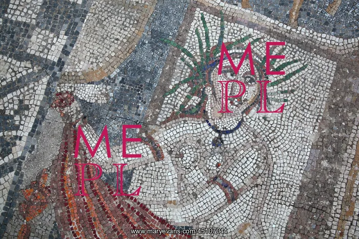 : Diana mosaic, House of the Procession of Venus : Diana mosaic, House of the Procession of Venus