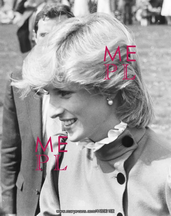 : Diana, Princess of Wales : Diana, Princess of Wales