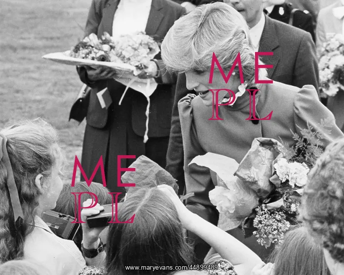 : Diana, Princess of Wales - St. Columb, Cornwall : Diana, Princess of Wales - St. Columb, Cornwall