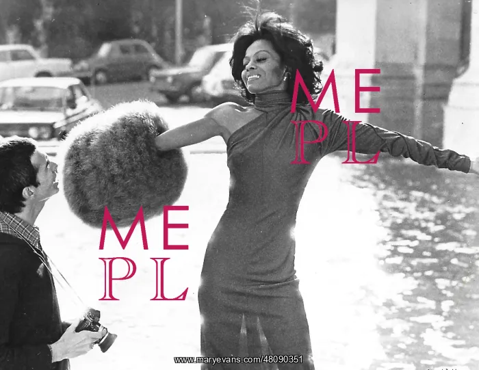 : Diana Ross in Mahogany : Diana Ross in Mahogany