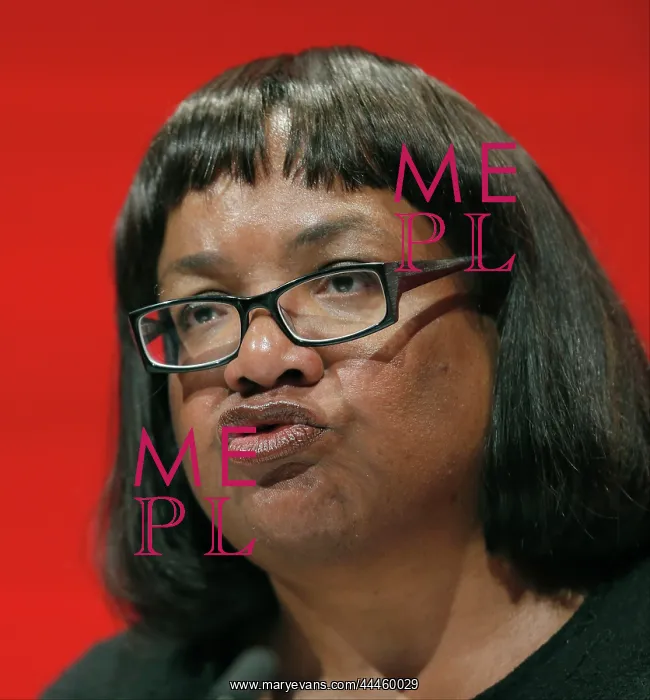 : Diane Abbott MP : Diane Abbott MP