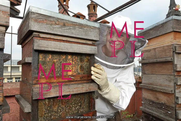 : Diane Jos, beekeeper, Paris Avec Toits, Paris, France : Diane Jos, beekeeper, Paris Avec Toits, Paris, France
