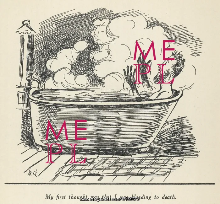 : Diary of a Nobody - Bath : Diary of a Nobody - Bath