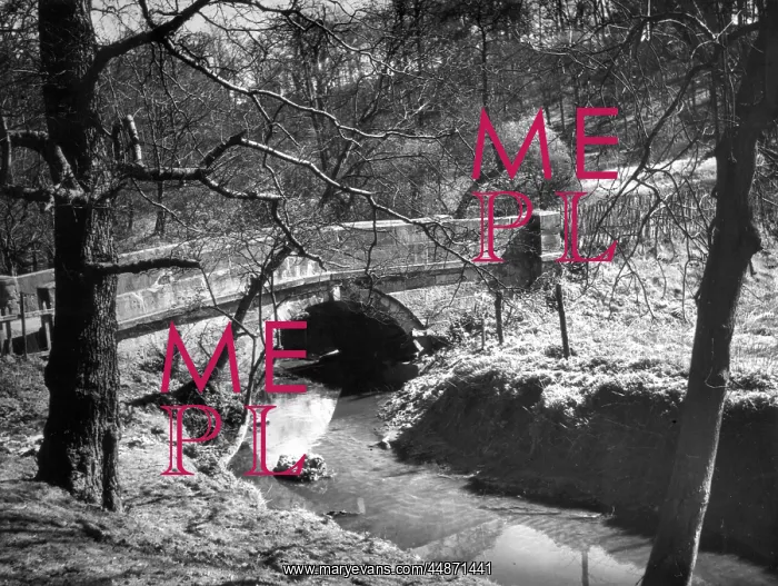 : DIBBINSDALE BRIDGE : DIBBINSDALE BRIDGE