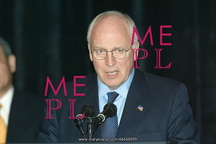 : Dick Cheney : Dick Cheney