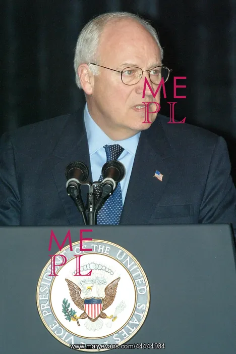 : Dick Cheney : Dick Cheney