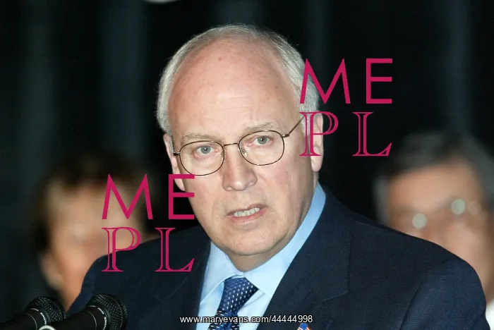 : Dick Cheney : Dick Cheney