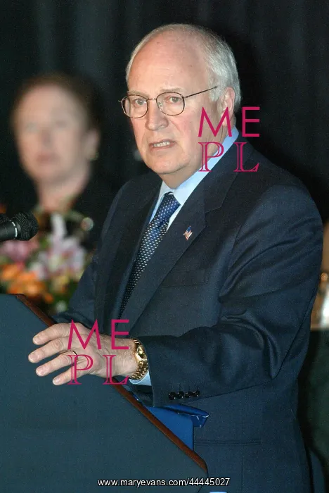 : Dick Cheney : Dick Cheney