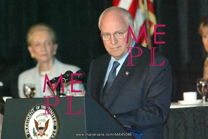 : Dick Cheney : Dick Cheney