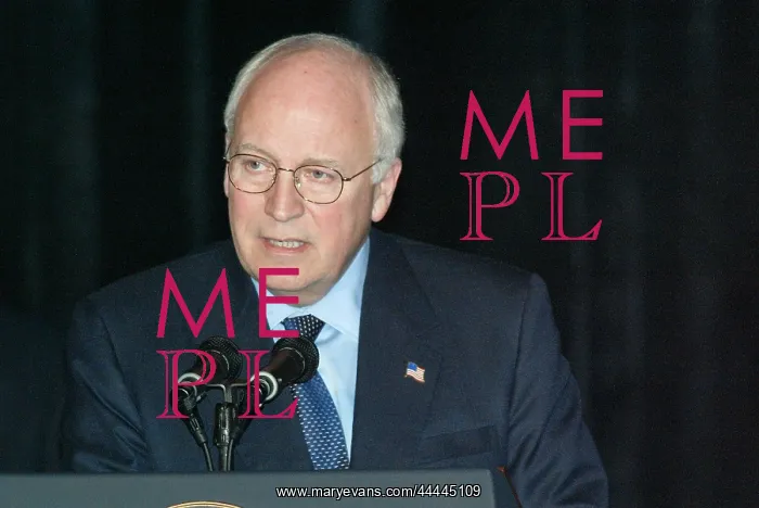 : Dick Cheney : Dick Cheney