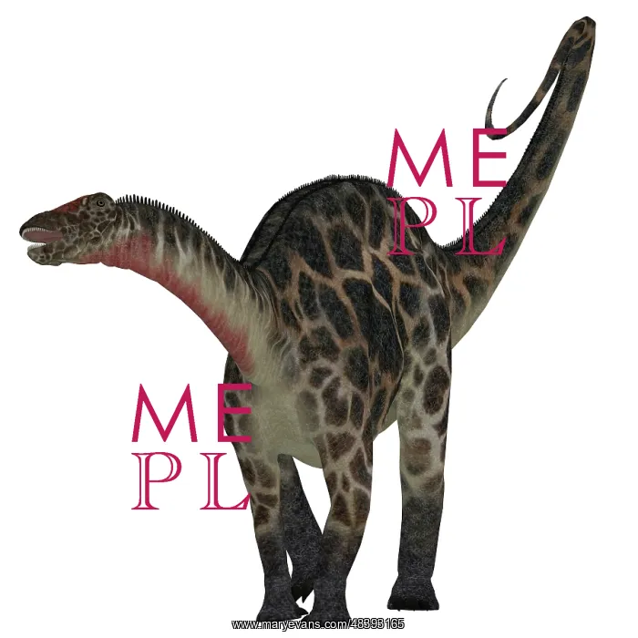  : Dicraeosaurus dinosaur