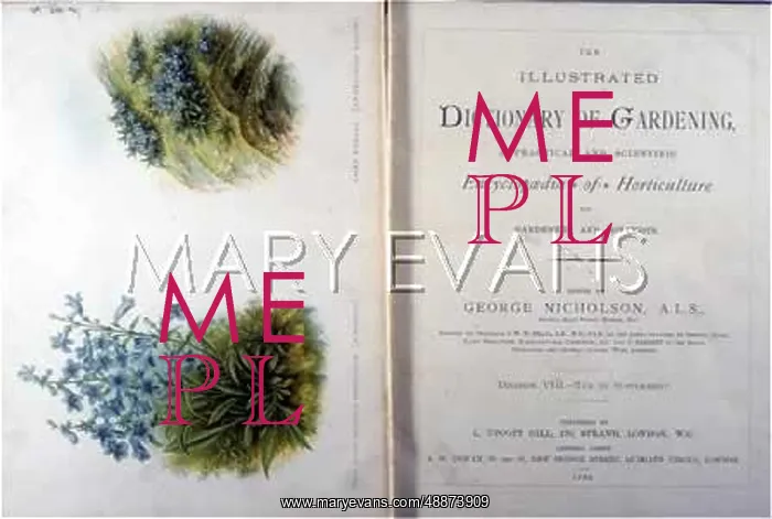: DICTIONARY OF GARDENING : DICTIONARY OF GARDENING