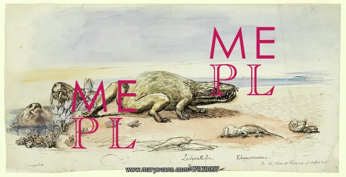 : Dicynodon, Labyrinthodon, Rhynchosaurus : Dicynodon, Labyrinthodon, Rhynchosaurus