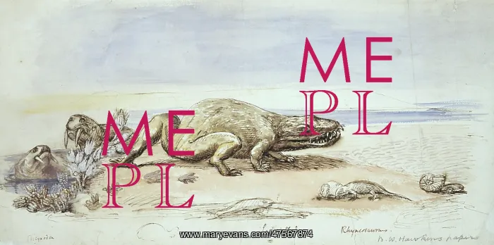 : Dicynodon, Labyrinthodon & Rhyncosaurus : Dicynodon, Labyrinthodon & Rhyncosaurus