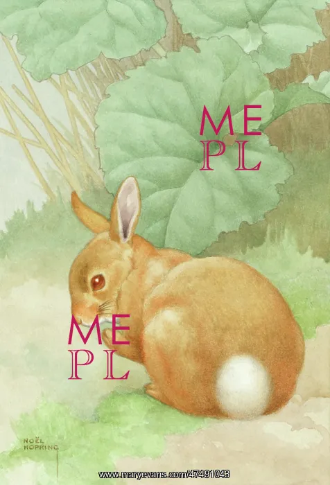 : Where did I leave my powder-puff? - rabbit : Where did I leave my powder-puff? - rabbit