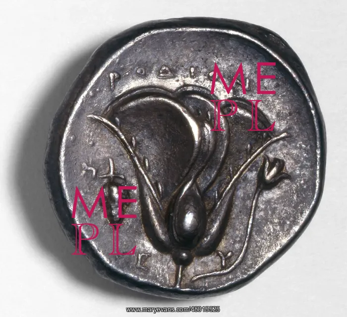 : Diddrachm coin : Diddrachm coin