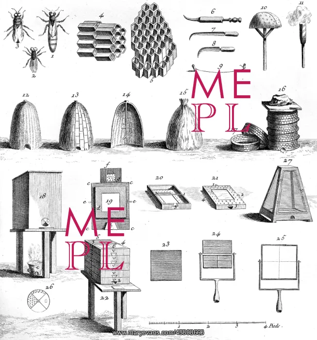 : DIDEROT HIVES : DIDEROT HIVES