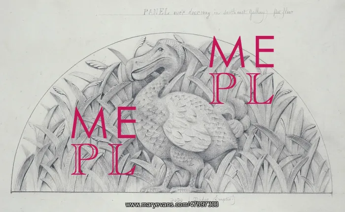 : Didus ineptus, dodo design : Didus ineptus, dodo design