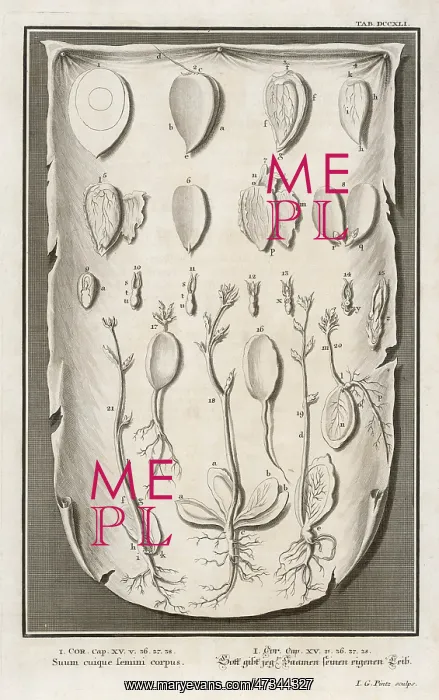 : EXCEPT IT DIE : EXCEPT IT DIE