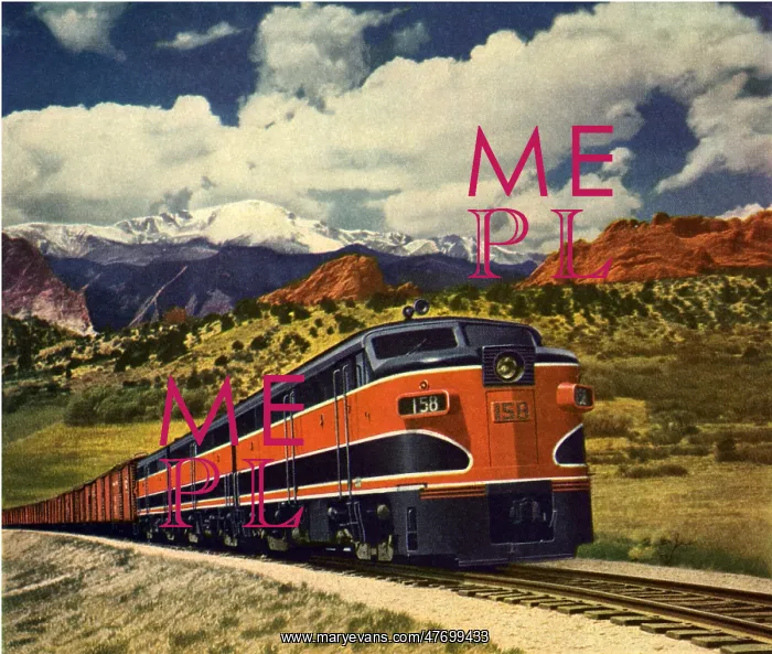  : Diesel Train