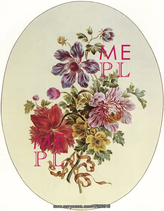 : Four Different Anemones : Four Different Anemones