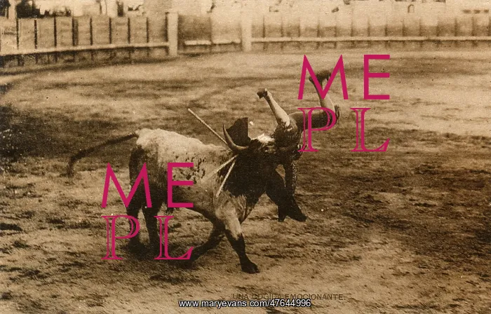  : A difficult moment for the matador during a bullfight, Spain