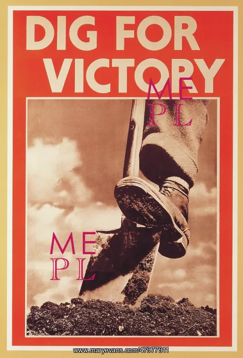  : Dig For Victory