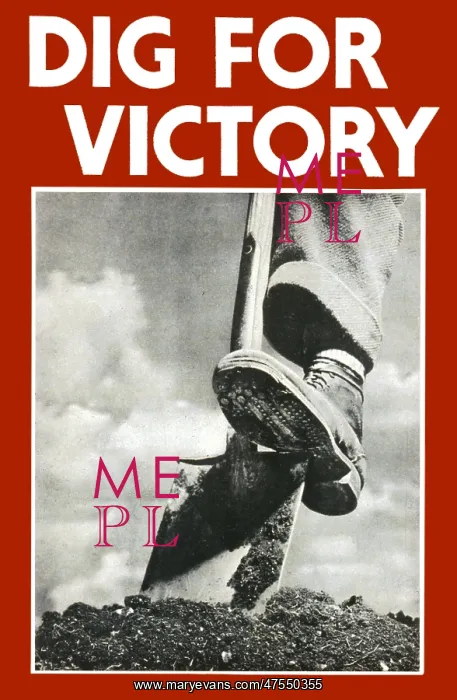 : Dig for Victory poster - WWII : Dig for Victory poster - WWII