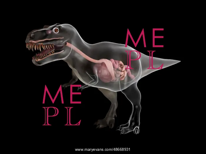 : Digestive system of Tyrannosaurus rex : Digestive system of Tyrannosaurus rex