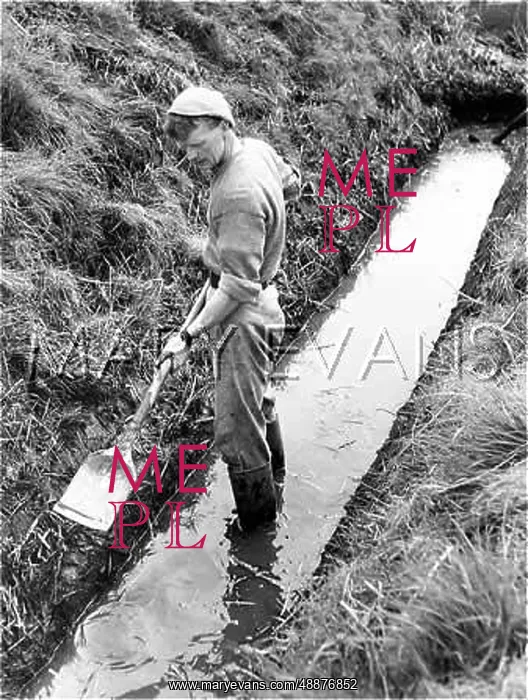 : DIGGING A DRAINAGE DITCH : DIGGING A DRAINAGE DITCH