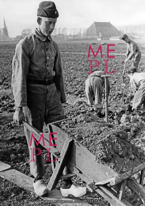 : Digging drainage ditches, 1942 : Digging drainage ditches, 1942