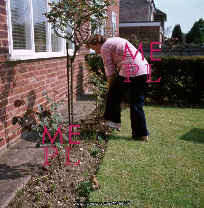  : DIGGING GARDEN 1970S