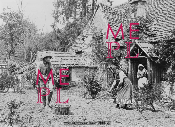 : Digging a vegetable patch, 1890s : Digging a vegetable patch, 1890s