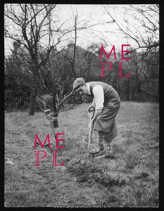 : DIGGING FOR VICTORY : DIGGING FOR VICTORY