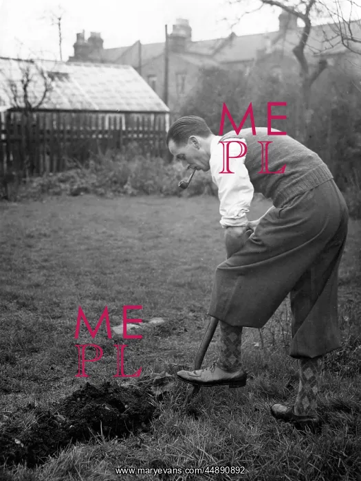 : DIGGING FOR VICTORY : DIGGING FOR VICTORY