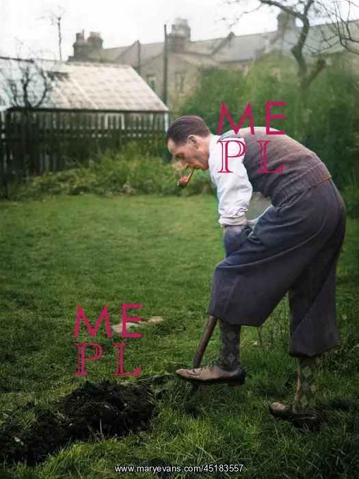 : DIGGING FOR VICTORY : DIGGING FOR VICTORY