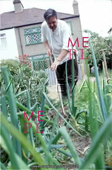 : DIGGING FOR VICTORY : DIGGING FOR VICTORY