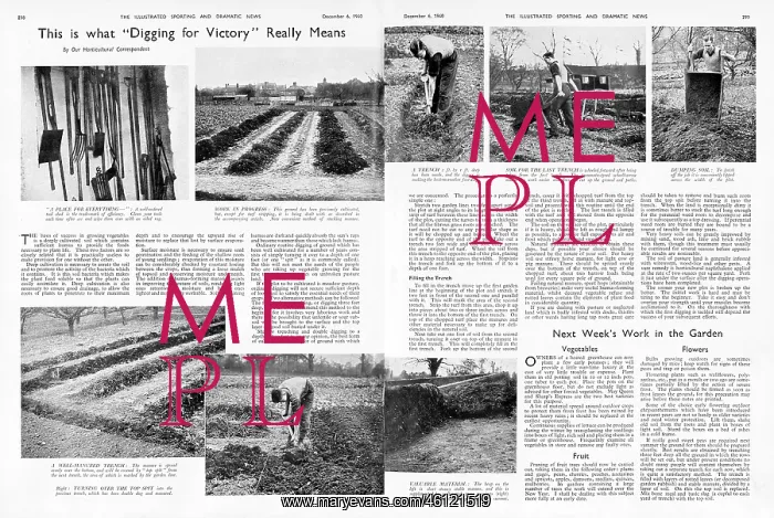 : What digging for victory really means, 1940 : What digging for victory really means, 1940