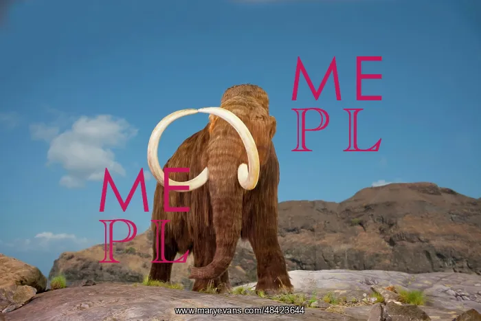 : Digital illustration of a woolly mammoth, Mammuthus : Digital illustration of a woolly mammoth, Mammuthus