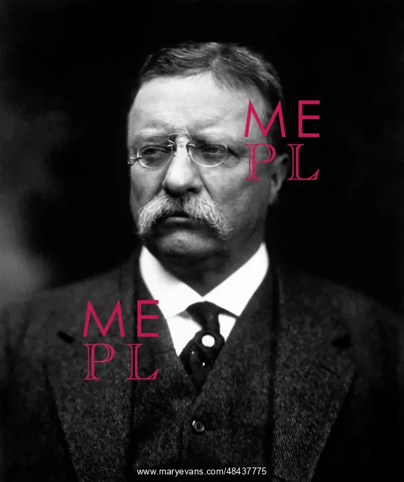 : Digitally restored vector portrait of Theodore Roosevelt : Digitally restored vector portrait of Theodore Roosevelt