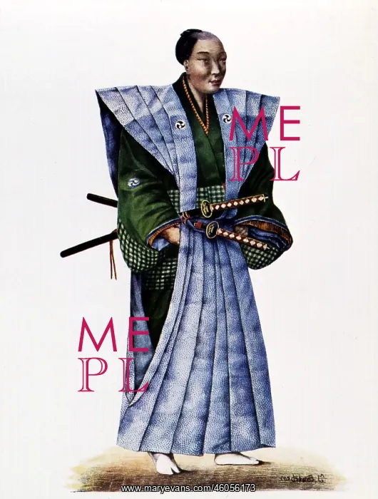 : Dignitary in official traditional costume : Dignitary in official traditional costume